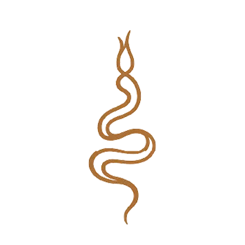 Energie en spiraal icoon